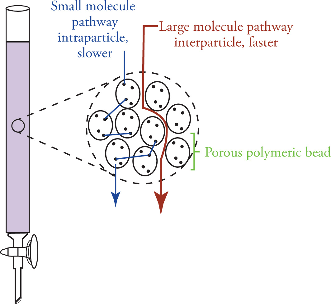 How does Size Exclusion work?