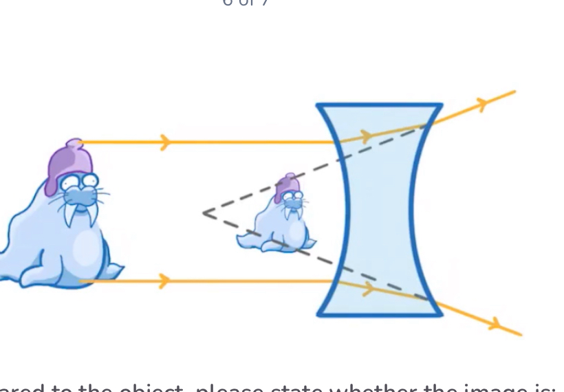 <p>Describe this image with 3 points</p>