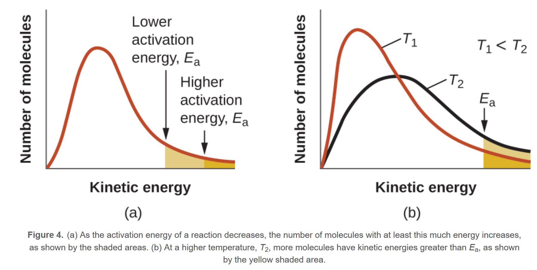 <p>The lower the activation energy the more particles are eligible to take part in the reaction, shaded region larger</p>