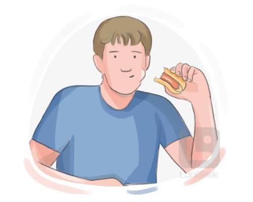 <p>chew</p>