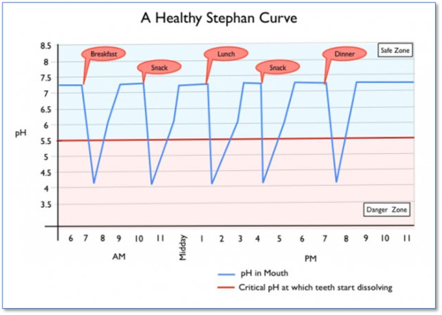 <p>shows the pH levels in your mouth as time progresses</p>
