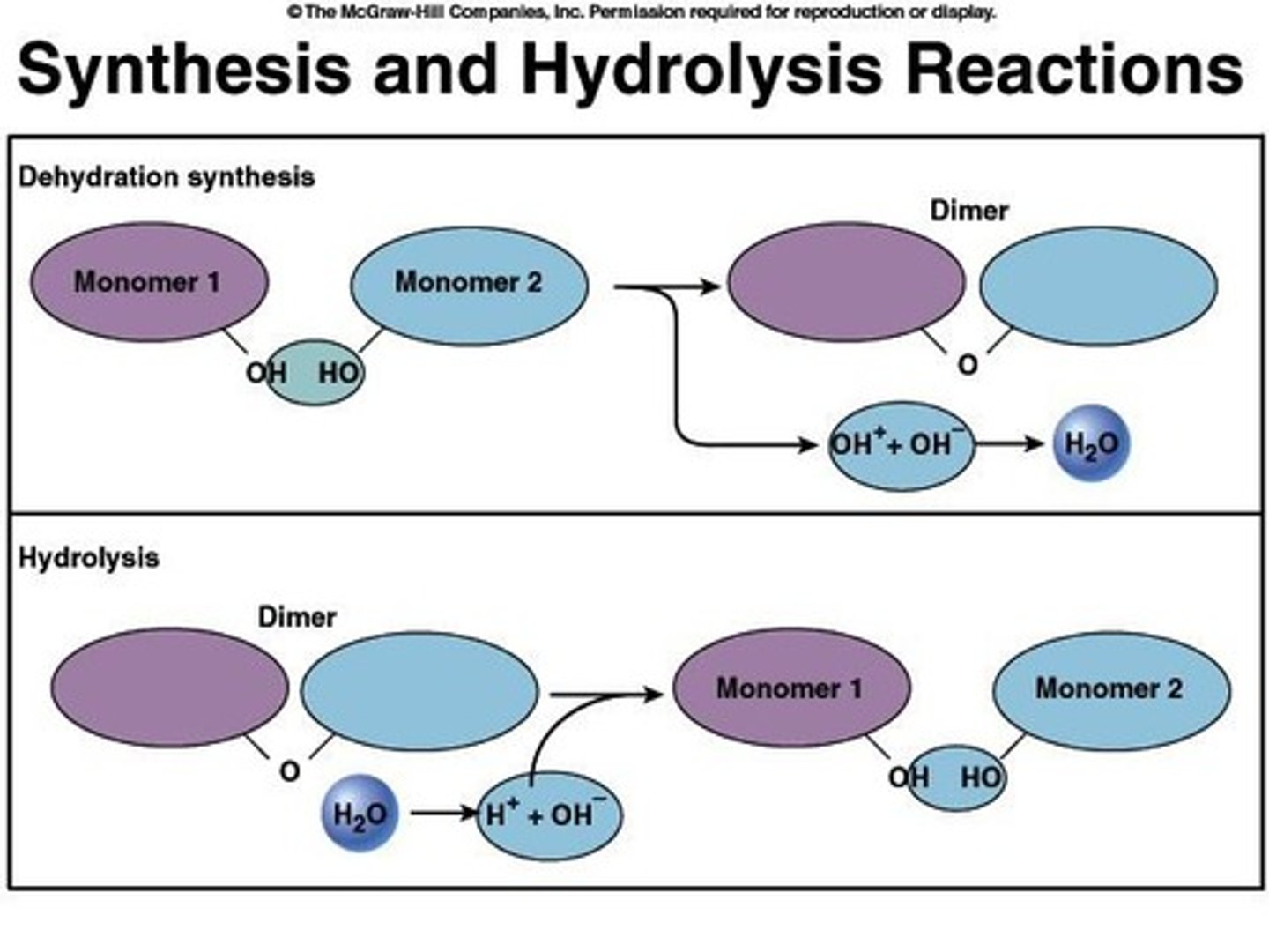<p>An atom is stable when its valence shell is completely full.</p>