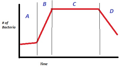 <p>Label the steps of the one-step growth curve</p>