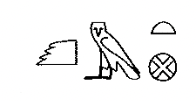 term image