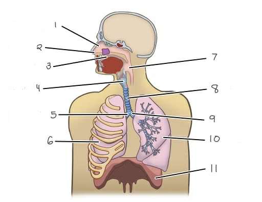 <p>5 - </p>