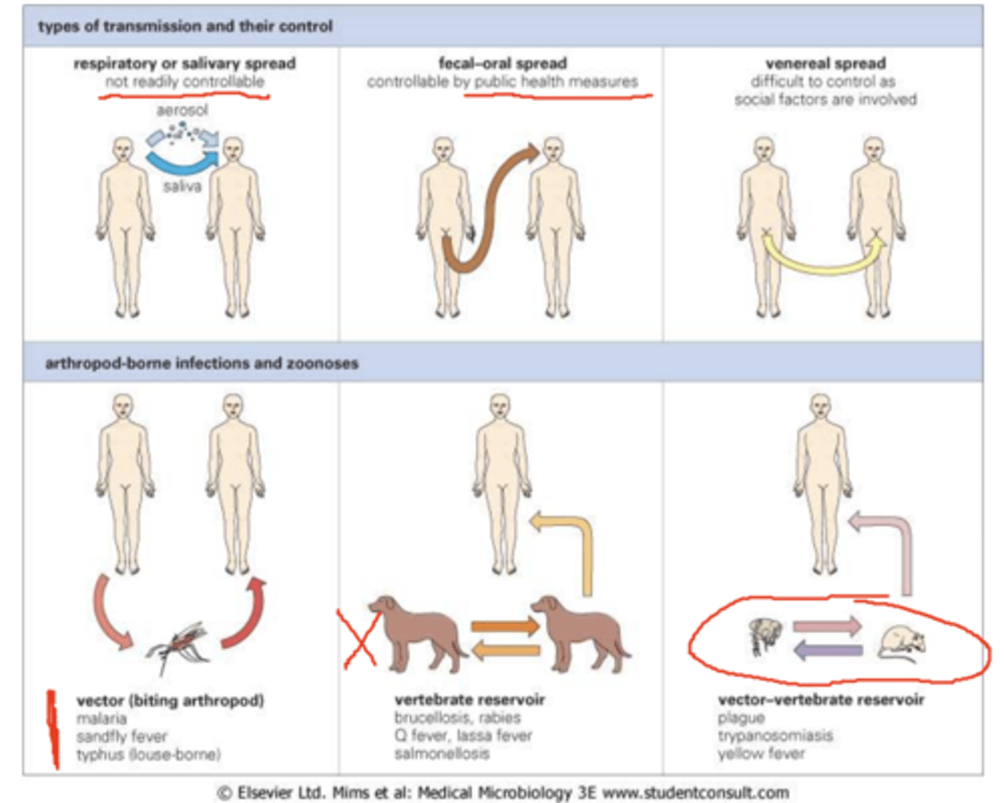 <p>- Respiratory or salivary spread.</p><p>- Fecal-oral spread</p><p>- Venereal spread</p><p>- Vector</p><p>- Vertebrate reservoir</p><p>- Vector-vertebrate reservoir.</p>