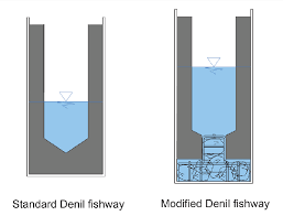 <p><span>series of baffles within a channel to allow fish to swim upstream</span></p><p><span>create low-velocity zones where fish can rest and ascend, making it easier for them to navigate the channel. Denil fishways are particularly useful on steeper slopes.</span></p>