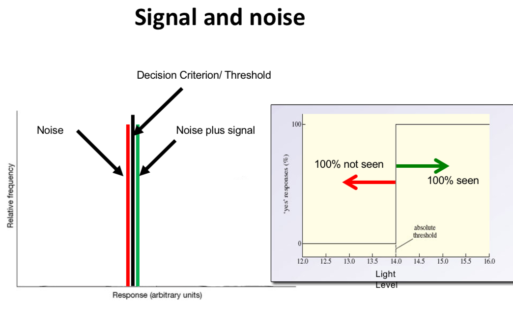 <p>Explain the graph</p>