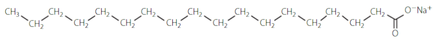 <p>relatively simple, with a long hydrophobic hydrocarbon tail and an ionic head that is hydrophilic (often carboxylate).</p>