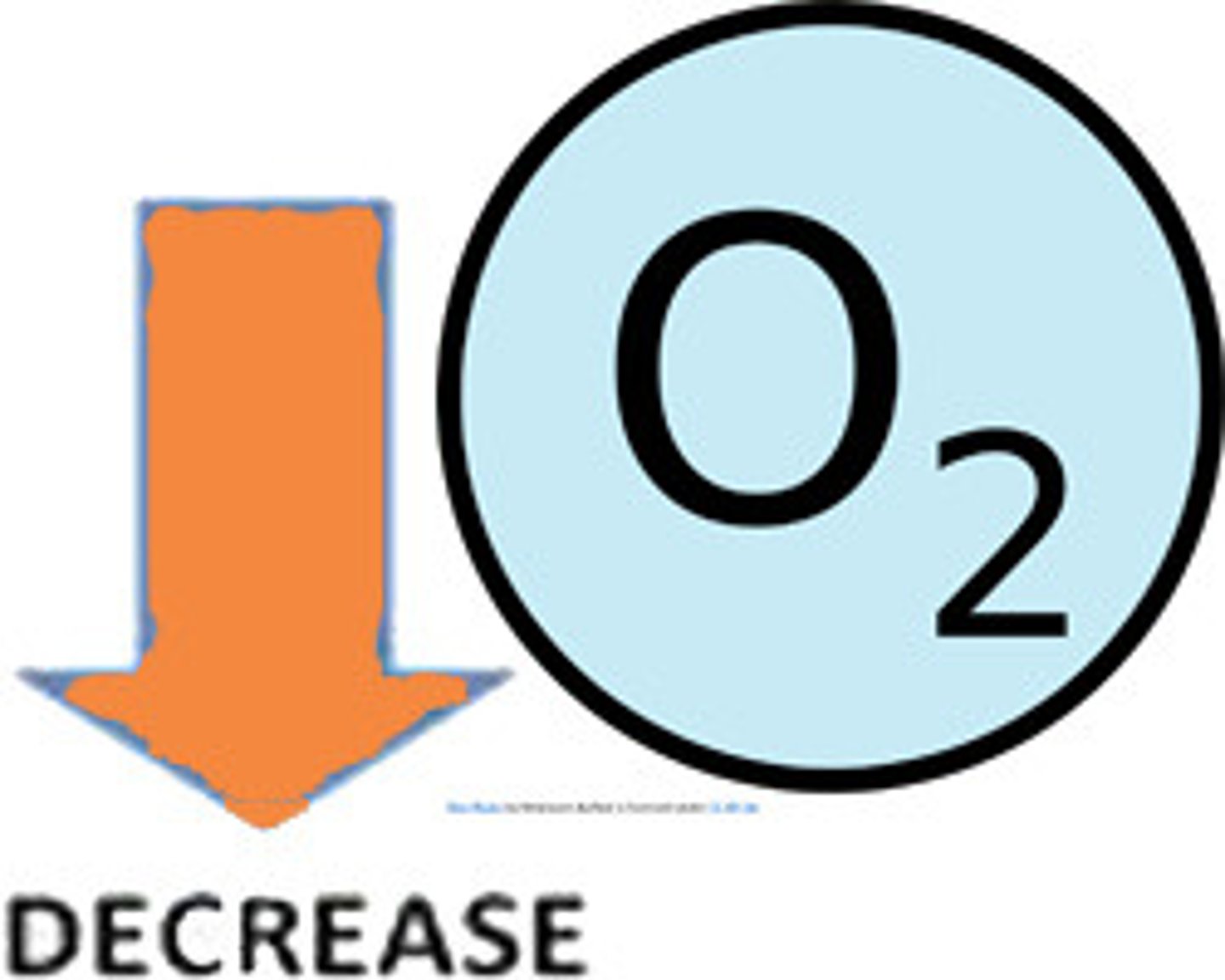 <p>Hypoxia (low oxygen in the blood)</p>