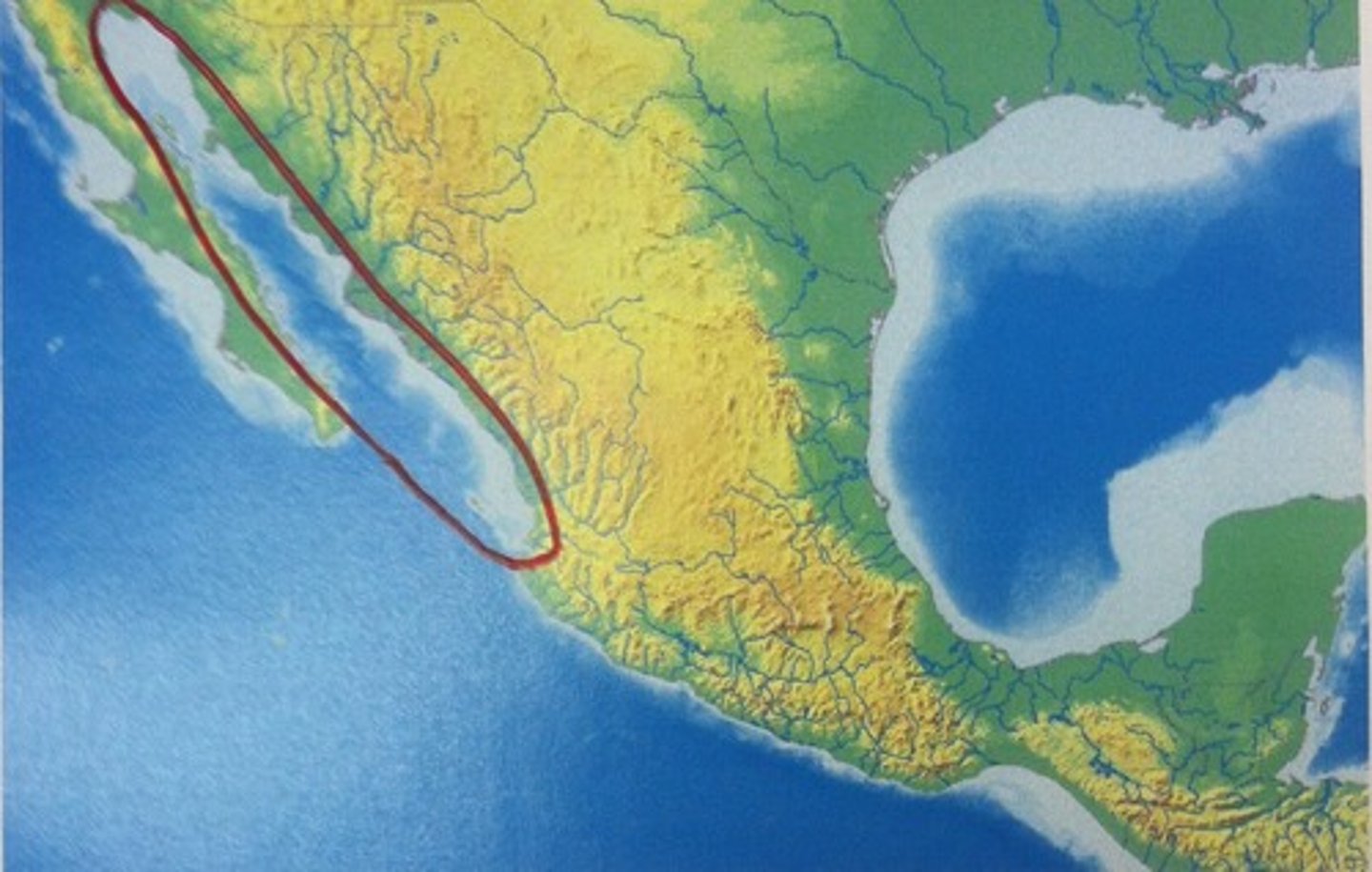 knowt flashcard image