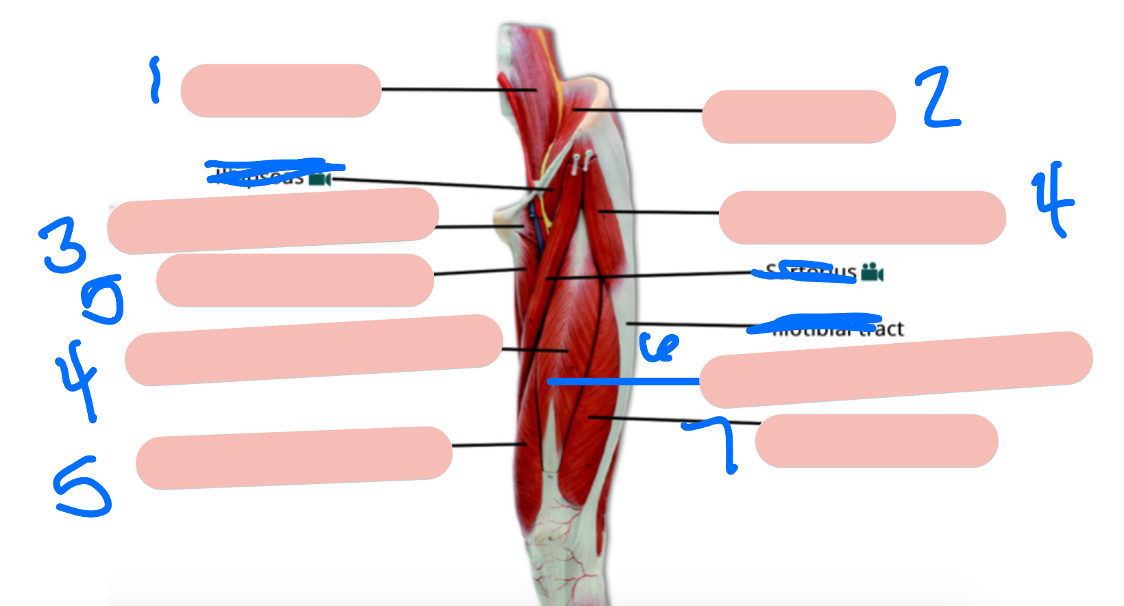 <p>1</p>