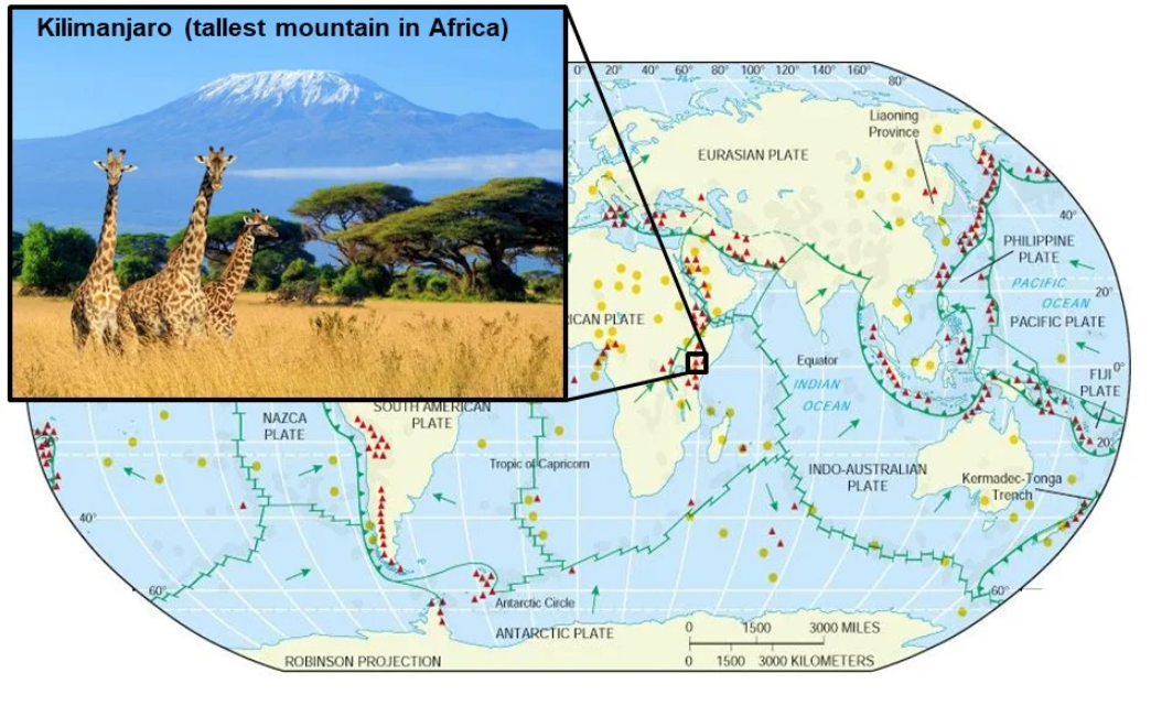 <p>Kilimanjaro (tallest mountain in Africa)</p>