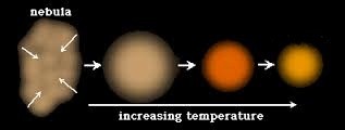 Formed from the core of a nebula after it collapses under its own gravity