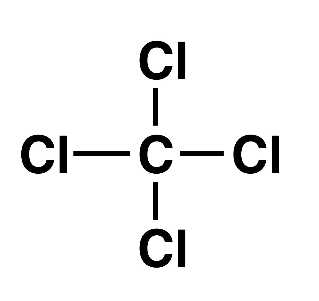 <p>Identify this structure</p>