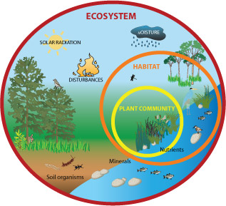 <p>All living things (biotic) and nonliving things (abiotic) in an environment, such as nitrogen in the soil or rainwater.</p>