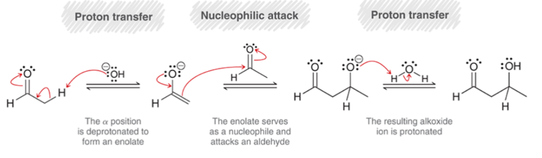 <p>Aldol Addition</p><ol><li><p><strong>Proton Transfer: </strong>The <span>α position is deprotonated to form an enolate.</span></p></li><li><p><span><strong>Nucleophilic Attack: </strong>The enolate serves as a nucleophile and attacks the aldehyde.</span></p></li><li><p><span><strong>Proton Transfer: </strong>The resulting alkoxide ion is protonated.</span></p></li></ol><p></p>