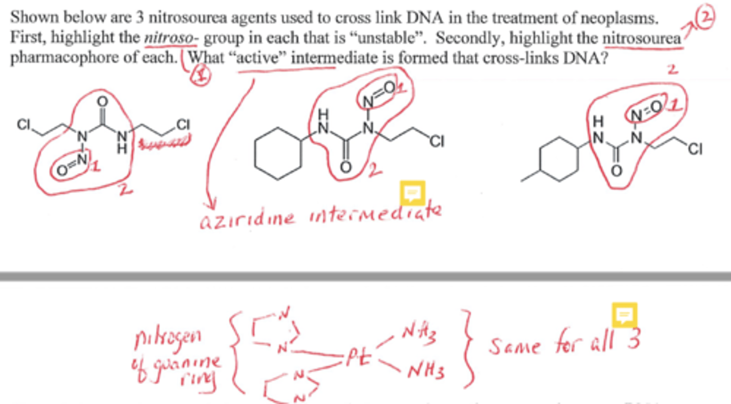 <p>Shown below are 3 nitrosourea agents used to cross link DNA in the treatment of neoplasms. First, highlight the nitroso- group in each that is “unstable”. Secondly, highlight the nitrosourea pharmacophore of each. What “active” intermediate is formed that cross-links DNA? ANSWER SHOWN</p>