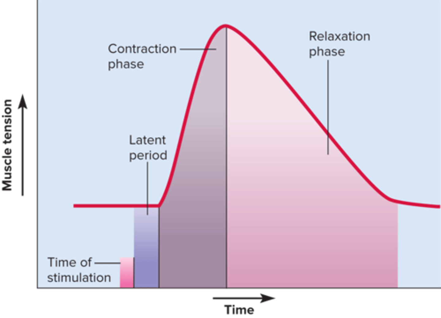<p>What is happening during each phase in terms of the 10 steps?</p>