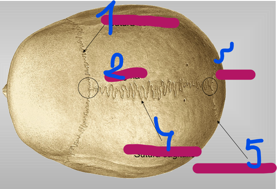<p>1</p>