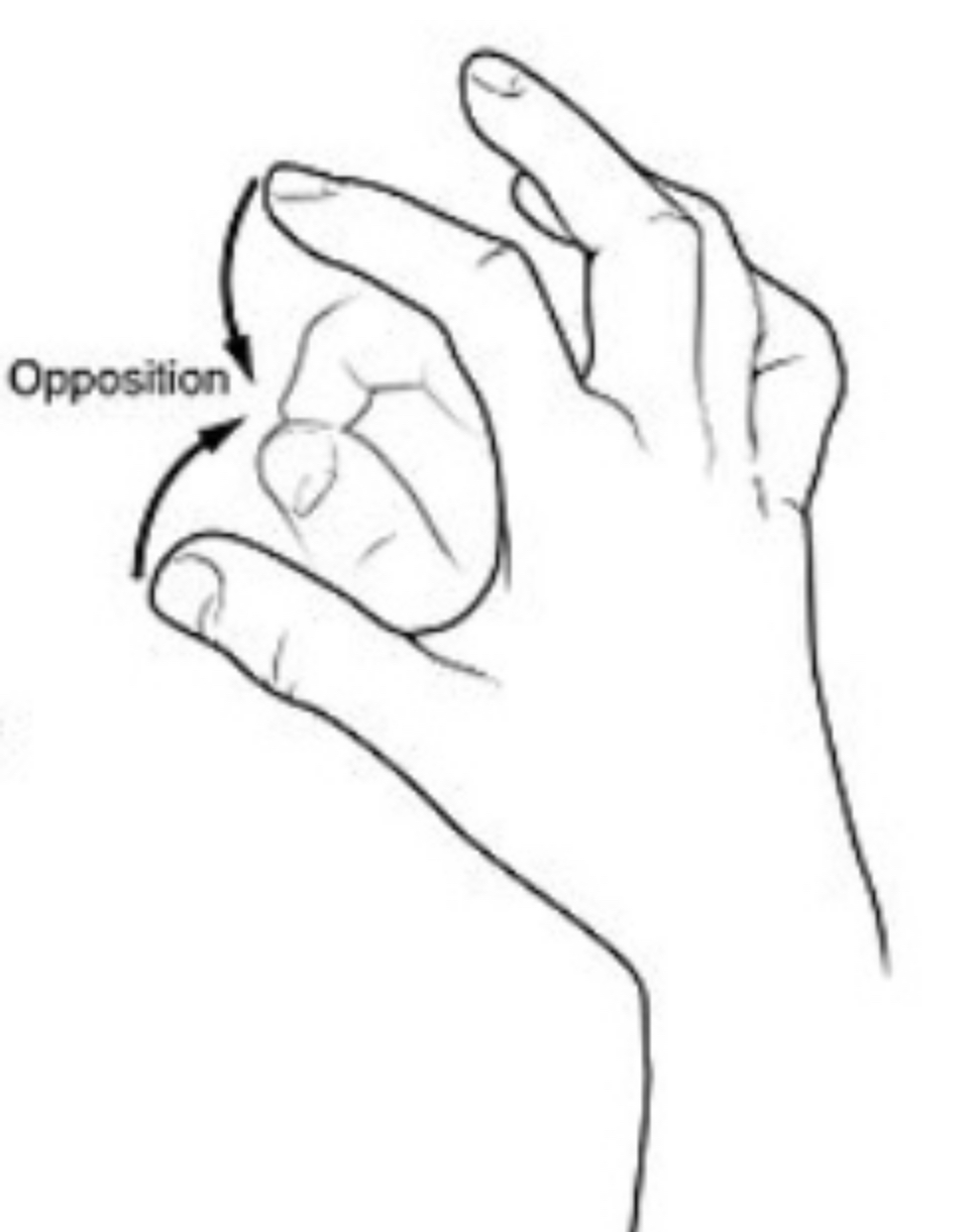 <p>Thumb to finger</p>