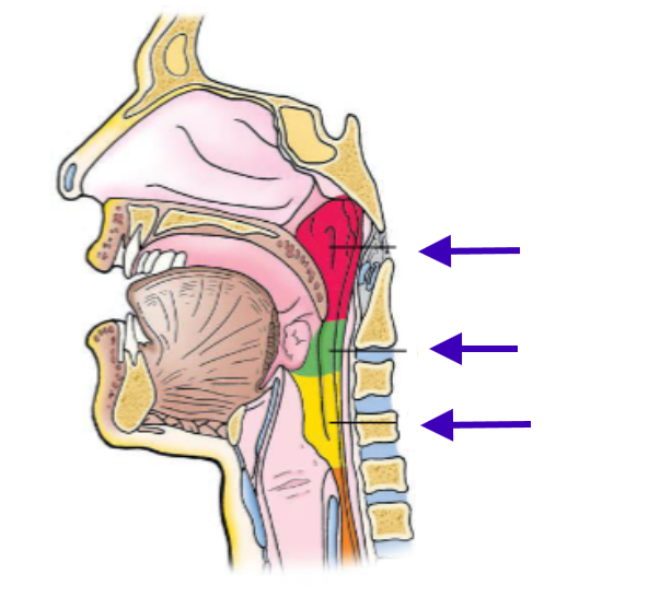 <p>What is the red region?</p>