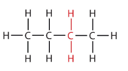 <p>4 Carbons</p>