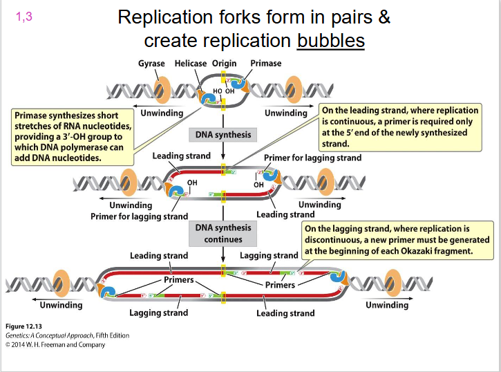 <p>IMPORTANT SLIDE TO UNDERSTAND HOW LICENSING WORKS</p>
