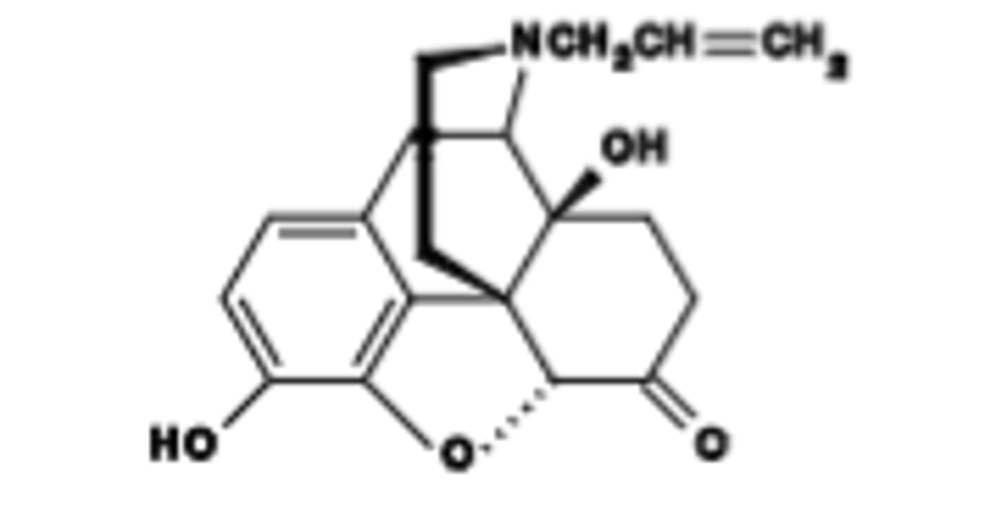 <p>Naloxone (Narcan)</p>