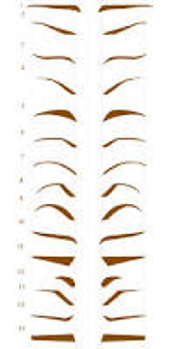 <p>eyebrows</p>