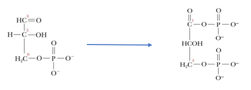 <p>what reaction is happening here?</p>