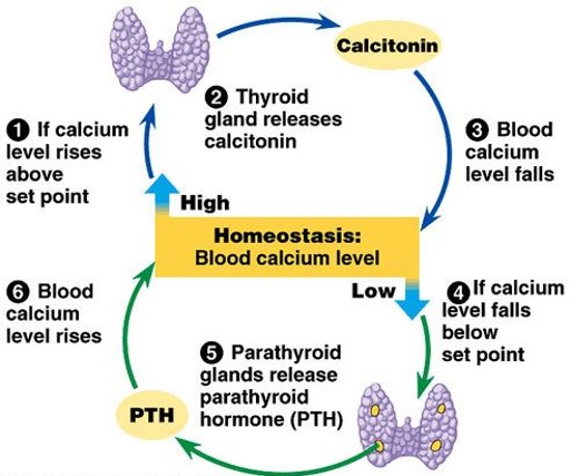 What is this and can you describe it?