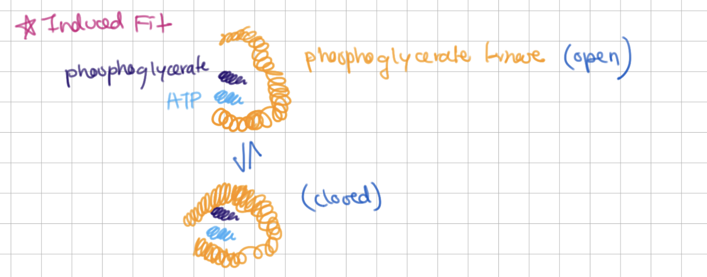 <p>nothing rlly to note tbh</p>