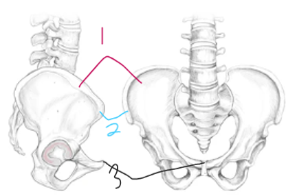 <p>what part is labeled 2?</p>