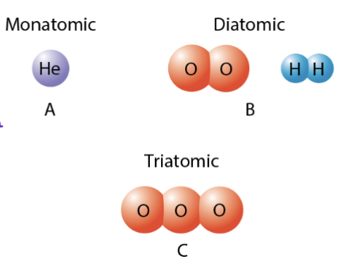 <p>mon/mono → one</p><p>di → two</p><p>tri → three</p>