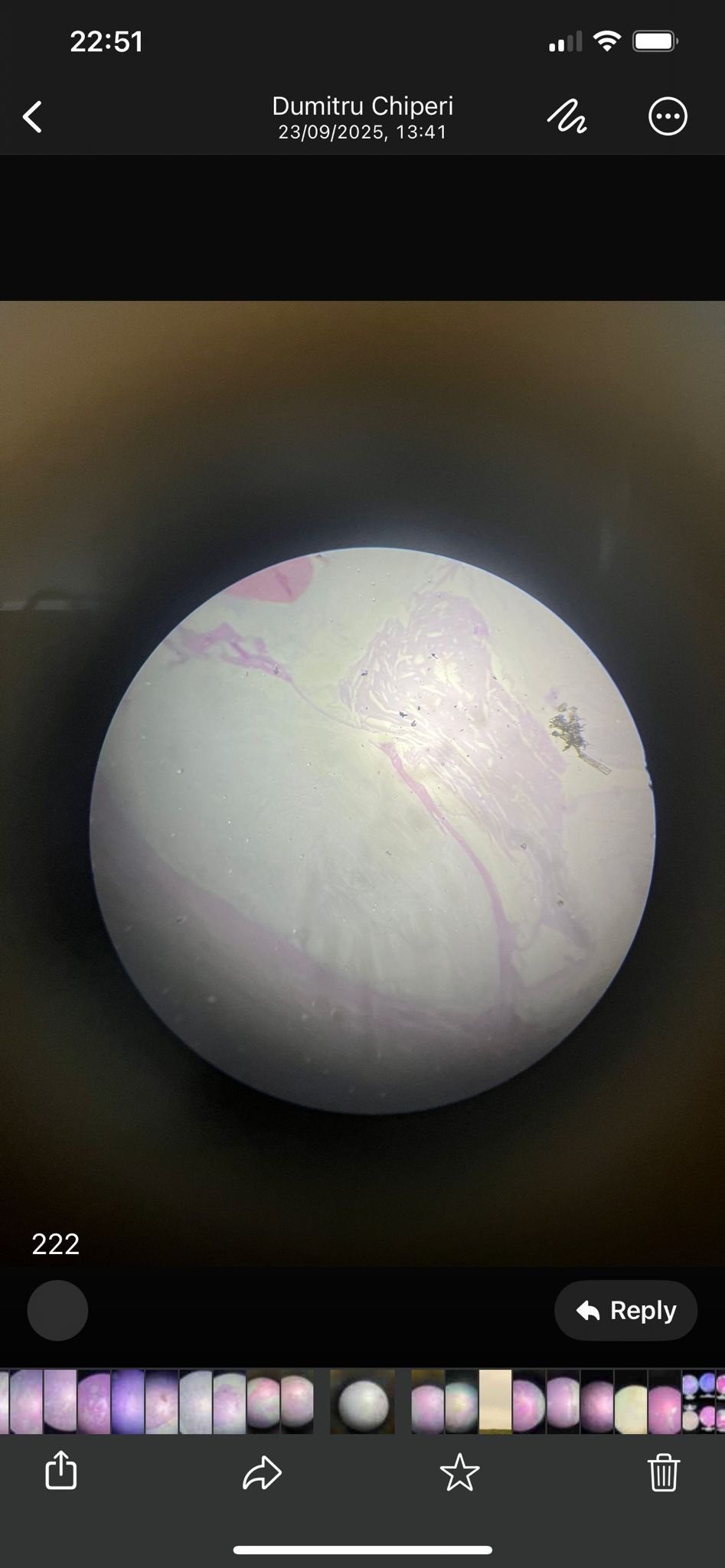 knowt flashcard image