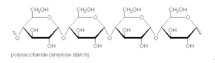 <ul><li><p>a long chain of sugars</p></li><li><p>very large molecules with a structural or storage function</p></li><li><p>E.g.: chitin (structural) , cellulose, starch, glycogen (in liver, and we can survive off just glycogen for 48 hrs. )</p></li></ul><p></p>