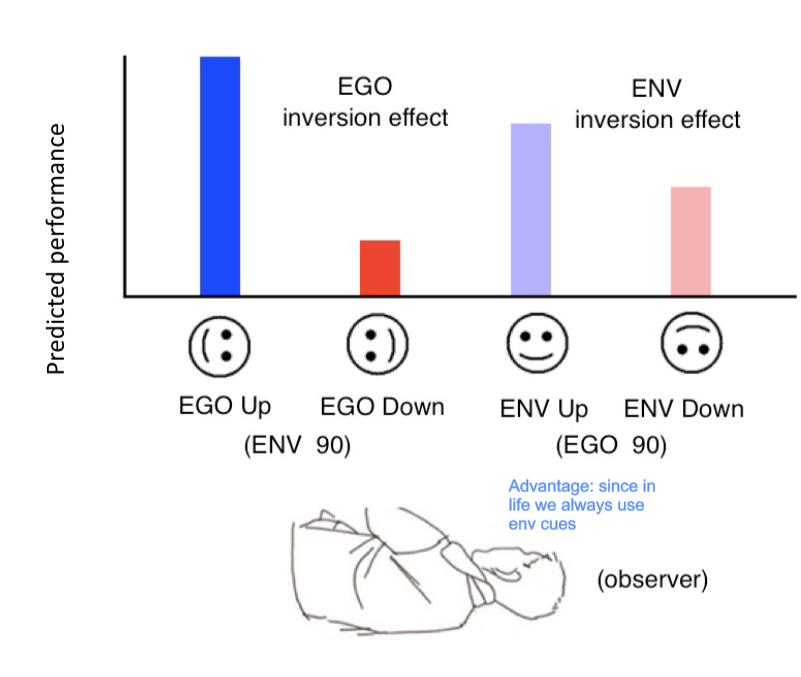 <p>Rotating the observer and having faces in different orientations (some that align with ego and some with env)</p><ul><li><p>best results when EGO up → env up → env down (not the worst since in life we always use env cues) → ego down</p></li></ul>