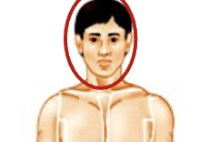 <p><span style="background-color: transparent;"><strong><span>The nose is aligned to the mouth?</span></strong></span></p>