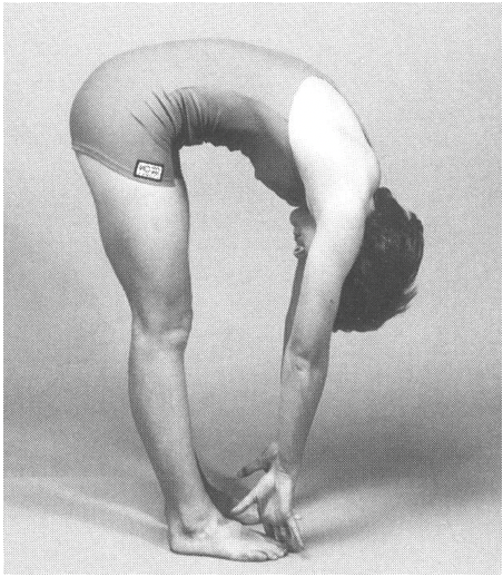 What ligaments become taught in flexion of the vertebral column?