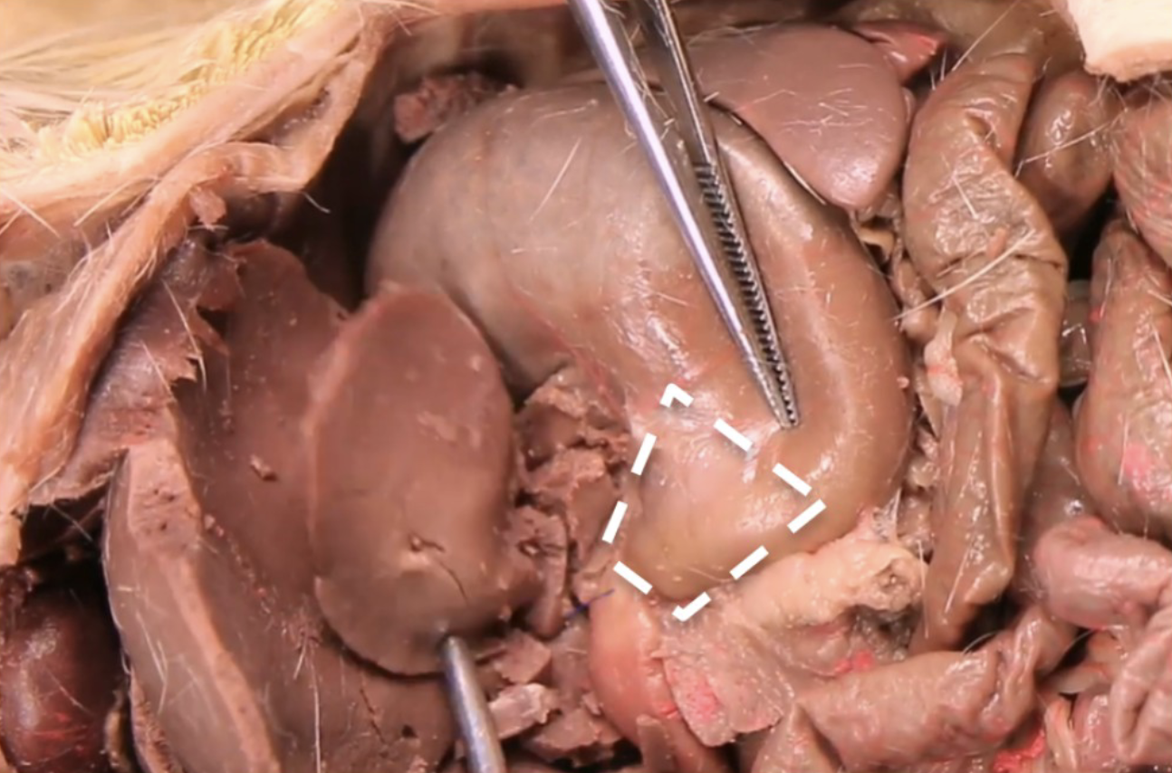 <p>What is this?</p>