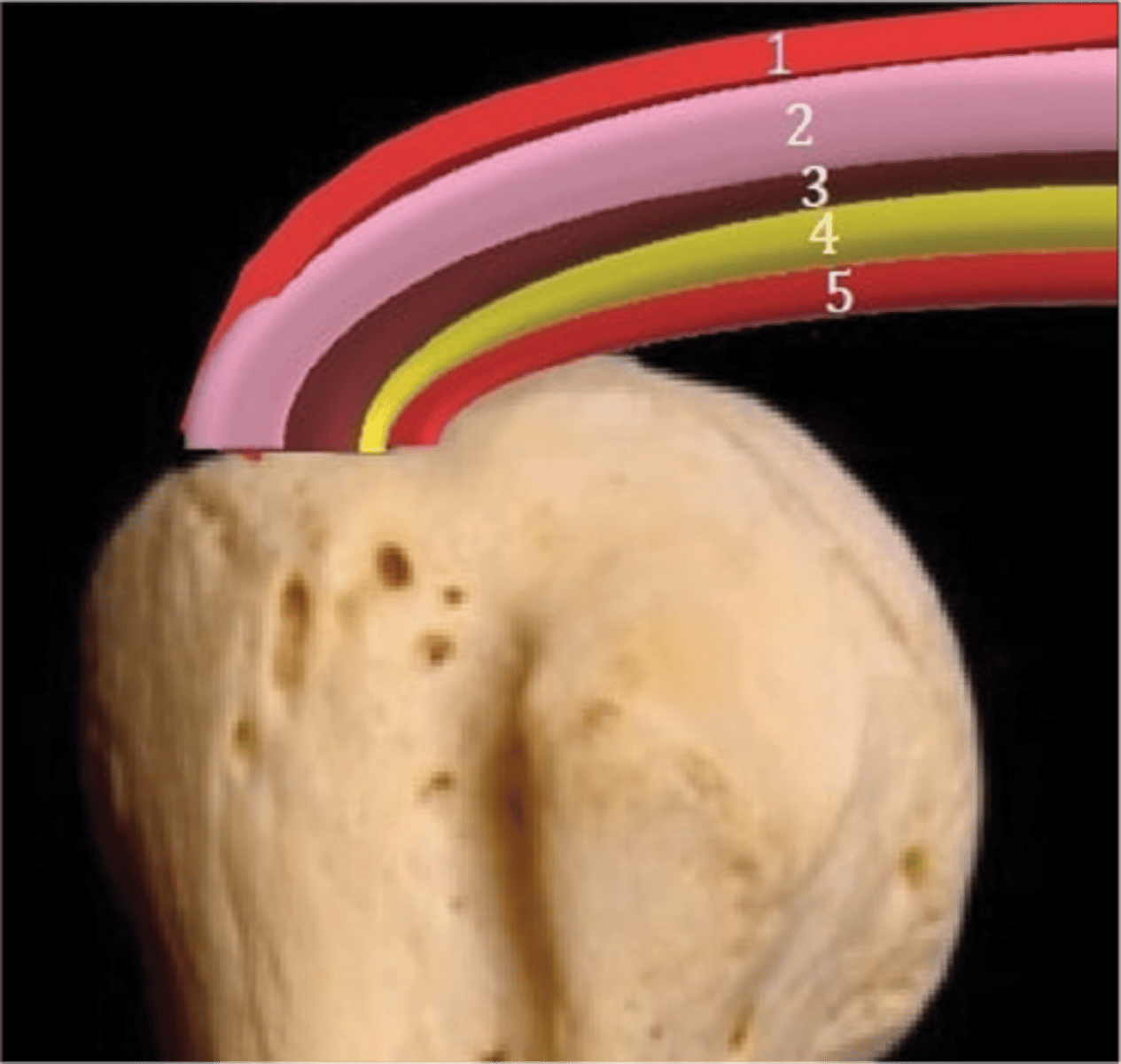 <p>Why is understanding this image important?</p>
