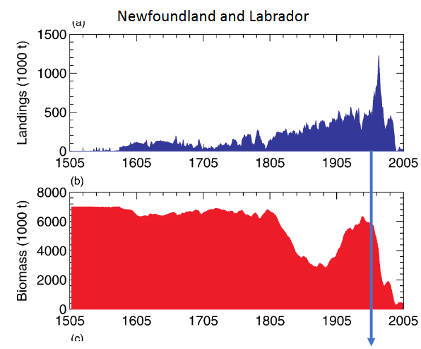 <p>how did the abundance and catch size of Northern Cod respond to the increase in fishing mortality from the aboriginal to global phase of fishing?</p>