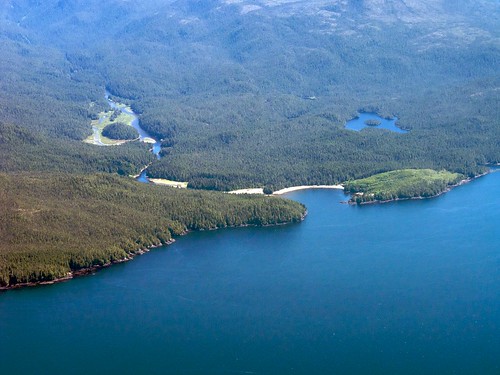 the point where a river enters a lake or sea