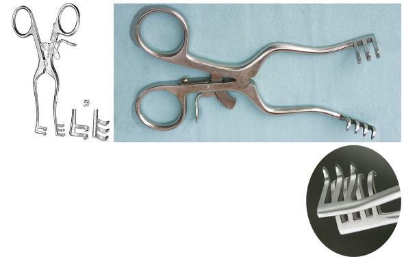 <p>Identify this retractor.</p><p>It is used to maintain muscle retraction during orthopedic surgery.</p>