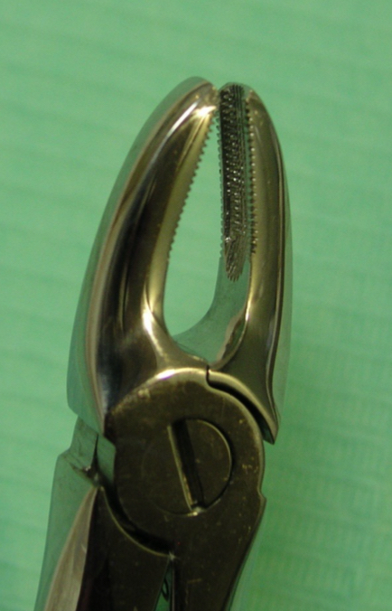 <p>Powerful root, elliptical cross section, apex towards distal </p><p>Close to nasal floor and nasopalatine foramen- risk of perforation</p><p> Straight elevator, upper incisor forceps</p>