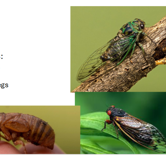 <p>Name the family</p>