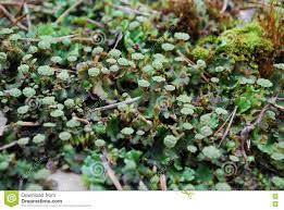 what does this image depict?
