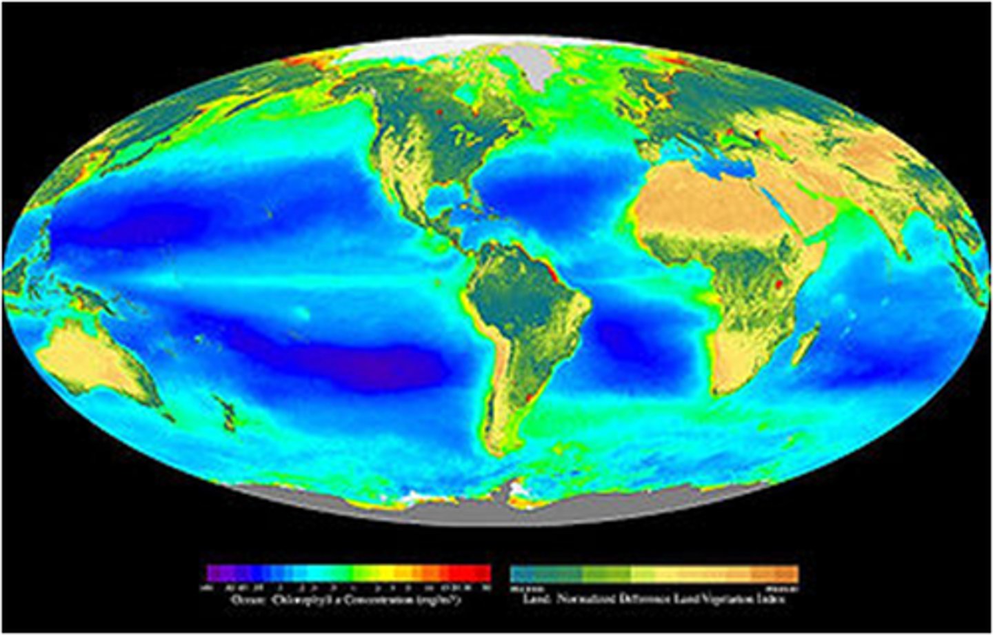 <p>Zone of land, air, and water at Earth's surface where organisms can live</p>