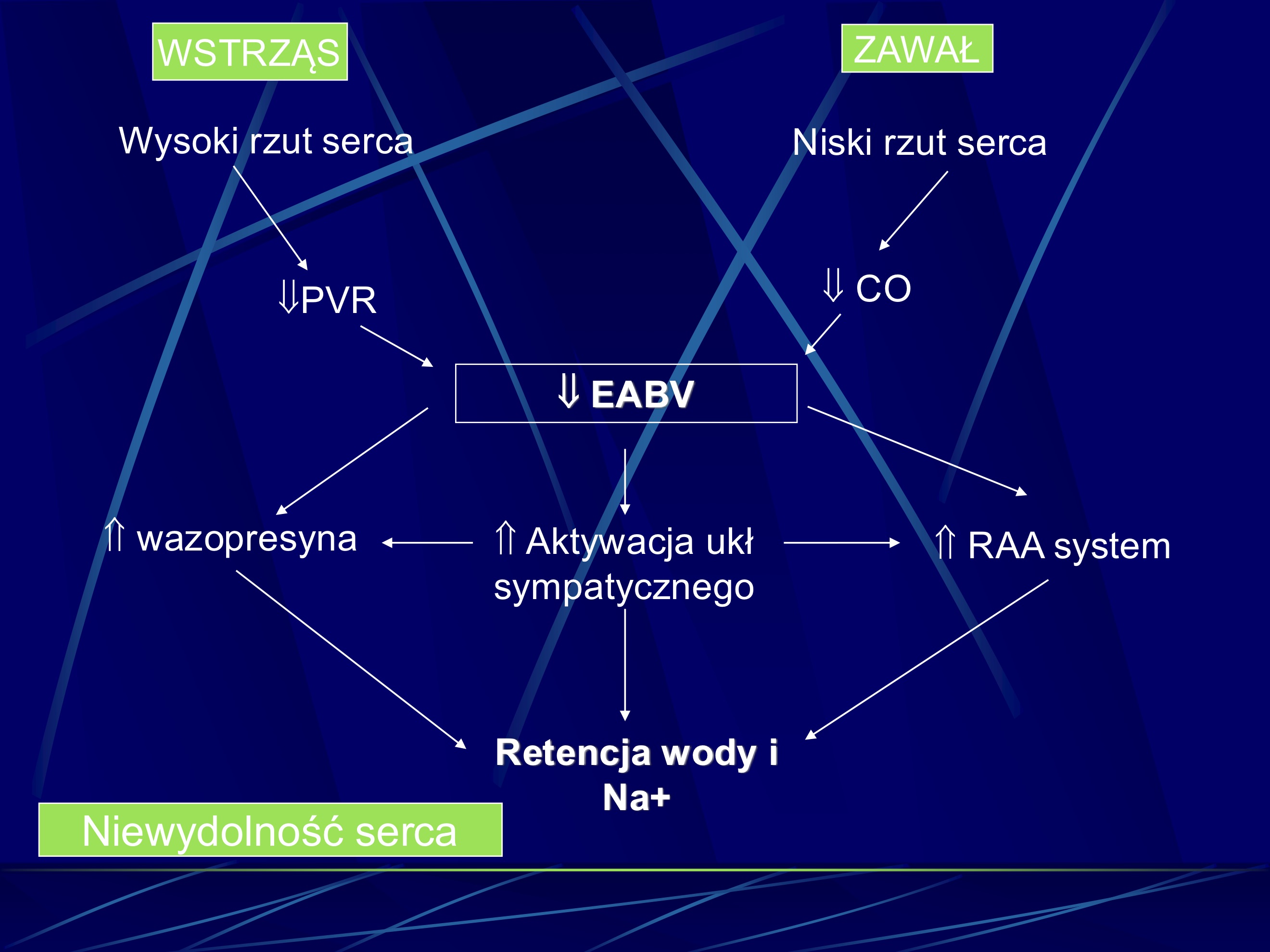 <p>1. Spadek CO</p><p>2. Spadek EABV</p><p>3. Zmiana stosunku CO/PR</p><p>4. Pobudzenie adrenergiczne</p><p>5. Skurcz naczyń</p><p>6. Hiponatremia</p>